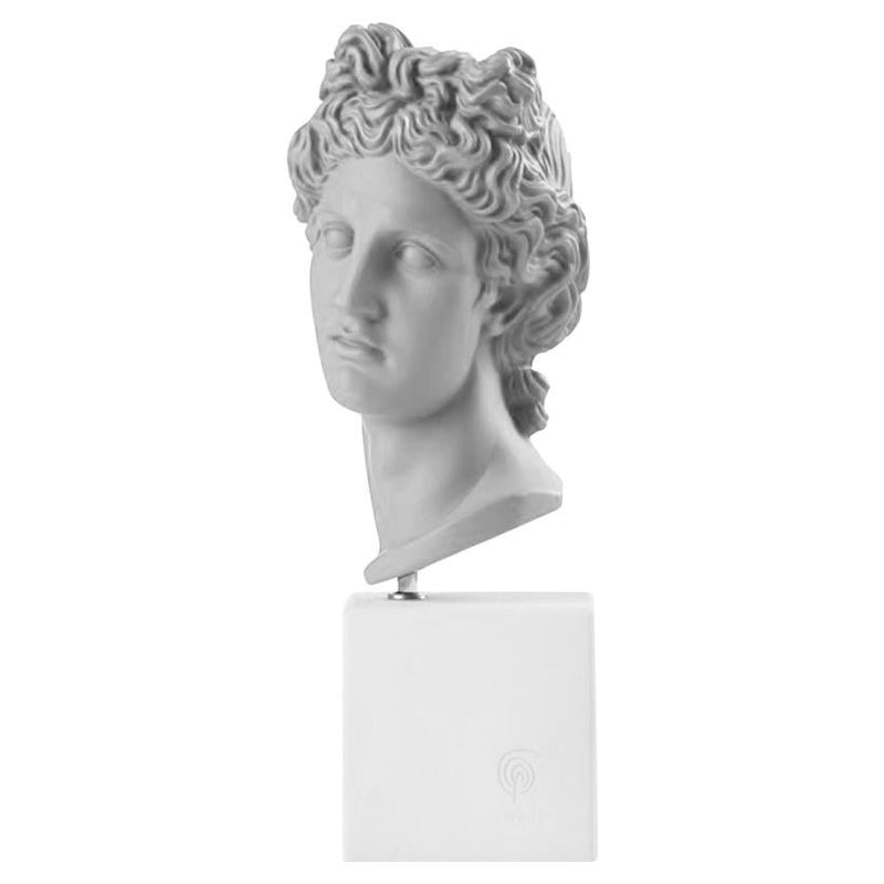 Apollo Head Statue in Grey XL
